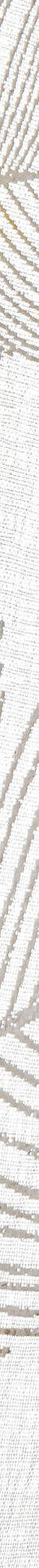 Vitrage passe-tringle motif plumes (blanc) Vitrage passe-tringle motif plumes (blanc)
